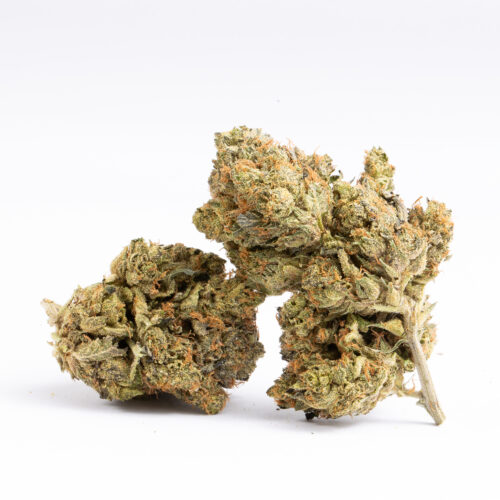 Overall, Pussy Pink stands out as a balanced hybrid that merges the best of both indica and sativa effects. With its sweet, gassy aroma, stunning pink-tinged buds, and harmonious blend of euphoria and relaxation, this strain is perfect for users seeking a flavorful, versatile smoke that can elevate mood while soothing the body.