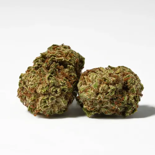 Raspberry Parfait packs a sweet and creamy raspberry berry flavor with hints of fresh fruitiness galore. The aroma is very similar, with a fruity raspberry berry overtone accented by spicy earthiness and woody pine. The Raspberry Parfait high settles in a few minutes after your final exhale, filling your brain with a lifted sense of happiness that instantly erases any negative or racing thoughts. You'll feel calm and focused with a sense of purpose that gets you jumping on creative tasks.