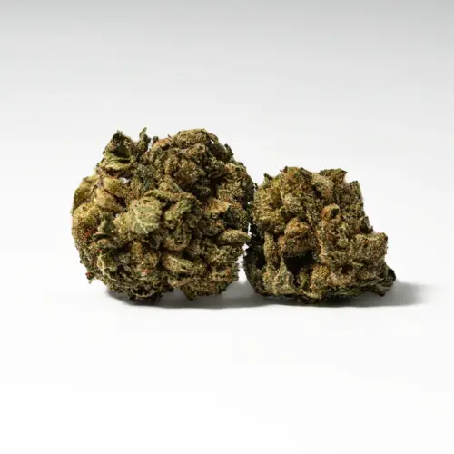 Red Octane is an indica dominant hybrid strain (70% indica/30% sativa) created as a phenotype of the infamous Hi-Octane strain. Named for its gorgeous appearance and classic parentage, Red Octane is the perfect indica to help you settle down and tuck in for a long and stress-free evening of peaceful sleep.