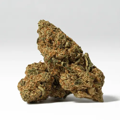 Royal Kush is said to be perfect for treating chronic stress, nausea, chronic pain, insomnia, and mild to moderate cases of depression. The high starts in the head with a hazy cerebral rush that leaves you insanely uplifted and euphoric but with a distant introspective feeling that rids the mind of any racing thoughts or pain.