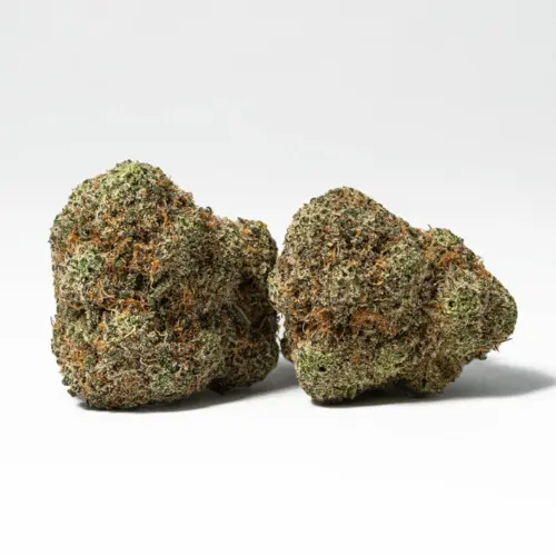Users describe the Skywalker OG high as a very heavy stoney high that leaves you utterly couch-locked, relaxed, and lethargic with an almost overwhelming case of the munchies. This is accompanied by a head-in-the-clouds euphoric head high that fades into a deep and peaceful sleep upon the come down.