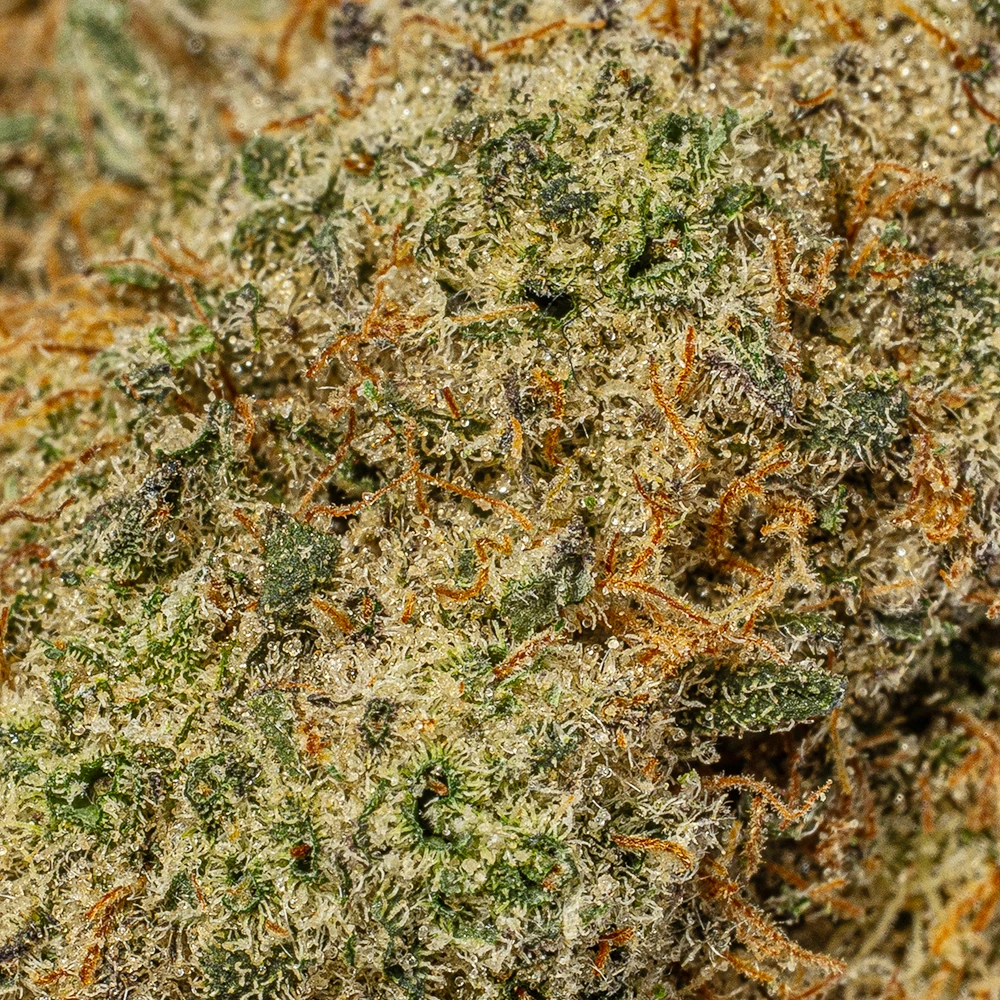 Skywalker OG (AAA) - Image 5