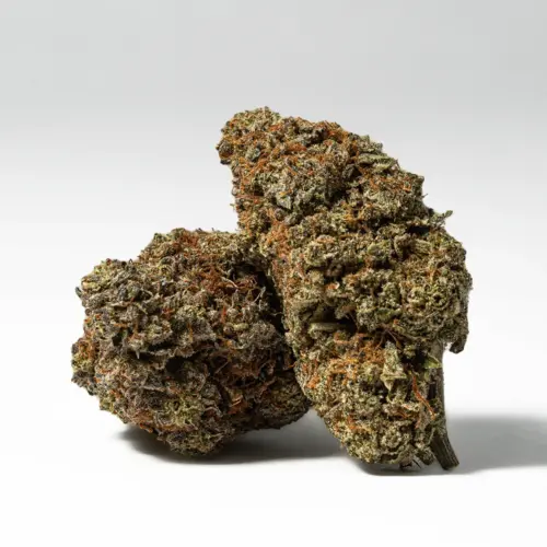 The Sunburst high will hit you as soon as you exhale, activating your brain with a vibrant burst of pure energy and motivation. You'll feel focused and creatively inspired, ready to jump into anything you've been avoiding on your to-do list.