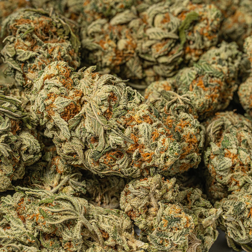 White Widow (AA+) - Image 4