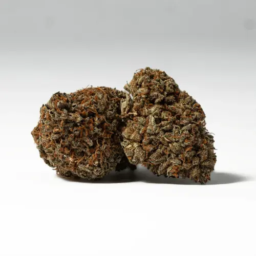 Wookies is an indica dominant hybrid strain (70% indica/30% sativa) created through crossing the classic Girl Scout Cookies X The White X Chemdawg strains. This fabulous, three-way cross yields a super delicious bud with amazing nighttime effects that will have you feeling satisfied and ready to doze in no time flat.