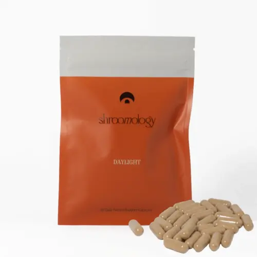 Daylight - Off-Day Focus, Mood and Neuro Support