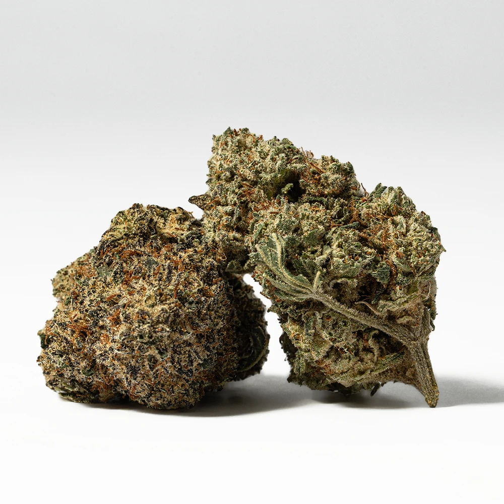 Like its name suggests, this bud has a super nutty and sweet creamy sugary flavor with hints of fresh cherries and sweet fruity berries, too. The aroma is very similar, with a fresh bouquet of sweet fruits and a touch of creamy nuttiness. The Waffle Cone high is one that's perfect for a lazy day spent at home, with soothing and calming effects that will have your mind feeling at ease while your body becomes heavy and couch-locked.