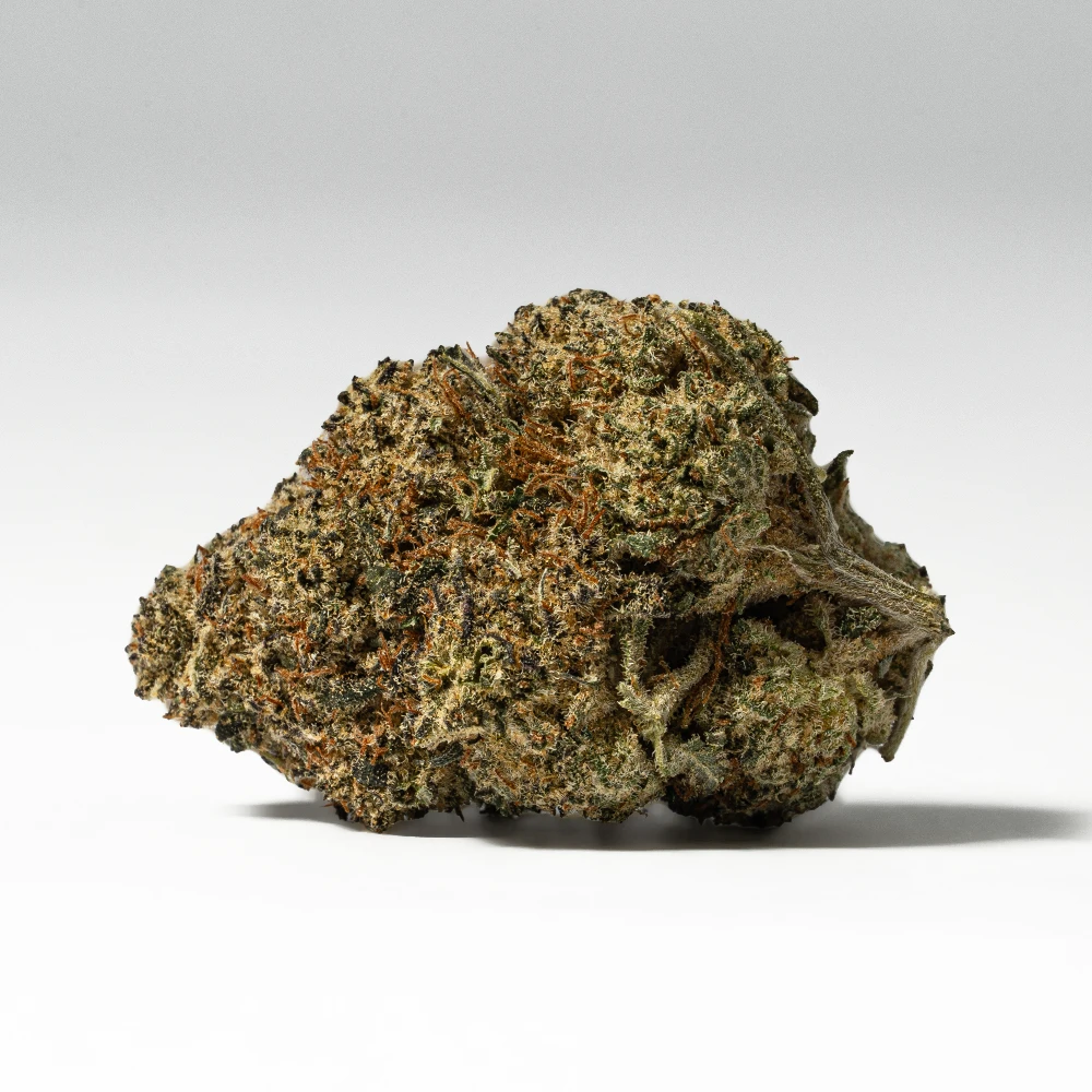 Waffle Cone (AAA+) - Image 3