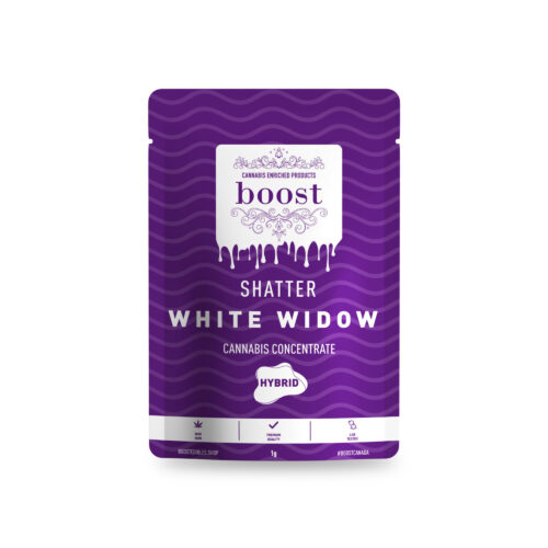 Among the most famous strains worldwide is White Widow, a balanced hybrid first bred in the Netherlands by Green House Seeds. A cross between a Brazilian Sativa landrace and a resin-heavy South Indian Indica, White Widow has blessed every Dutch coffee shop menu since its birth in the 1990s. A powerful burst of euphoria and energy breaks through immediately, stimulating both conversation and creativity.