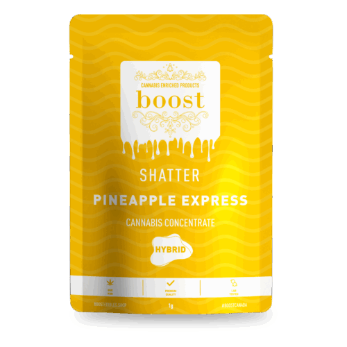 Pineapple Express is a world renowned Hybrid cannabis strain that is most famous for its energetic effects. This strain can also induce a creative, yet buzzy feeling. It is also used to treat depression, pain, and fatigue in medicinal cannabis patients.