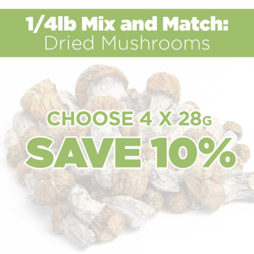 1/4lb Mix and Match Dried Mushrooms