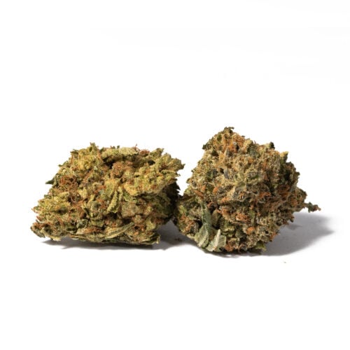 Death Star is a cross between Sensi Star and Sour Diesel which is most commonly known as an indica dominant. Death Star possesses the best attributes of both its parents. Its name is assumed to be linked with Star Wars movies. It has the indica/sativa ratio of 75% to 25%.