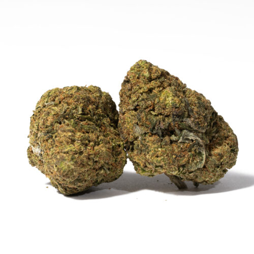 Purple Rain is in the form of little buds that have chunky growth and are covered with plenty of hair. It is deep purple in colour and looks like a huge purple moss. It is generally used for treating different types of pain and is quite good at this job.