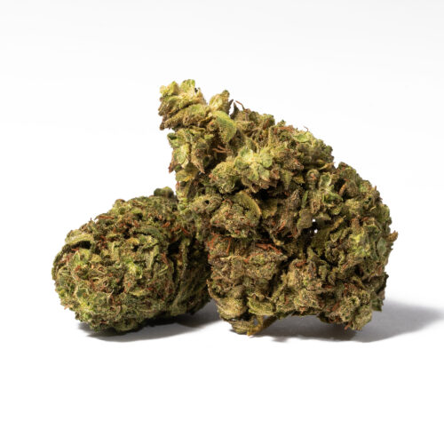 Bruce Banner is a potent, sativa-dominant strain that hits with nearly 19% THC. Known for its euphoric high, creative spark, and strong pain relief, it's a favourite for those seeking energy and mood-boosting effects. Expect sweet citrus flavours, frosty buds, and a powerful kick that lives up to its comic book namesake.