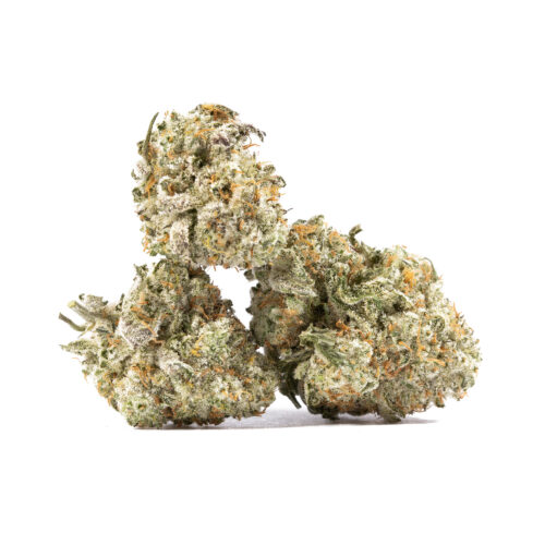 White Widow gets its name from the fact that it is literally blanketed in white crystals. This strain is perfect for outdoor activities like hanging out at the beach or taking a nice walk.