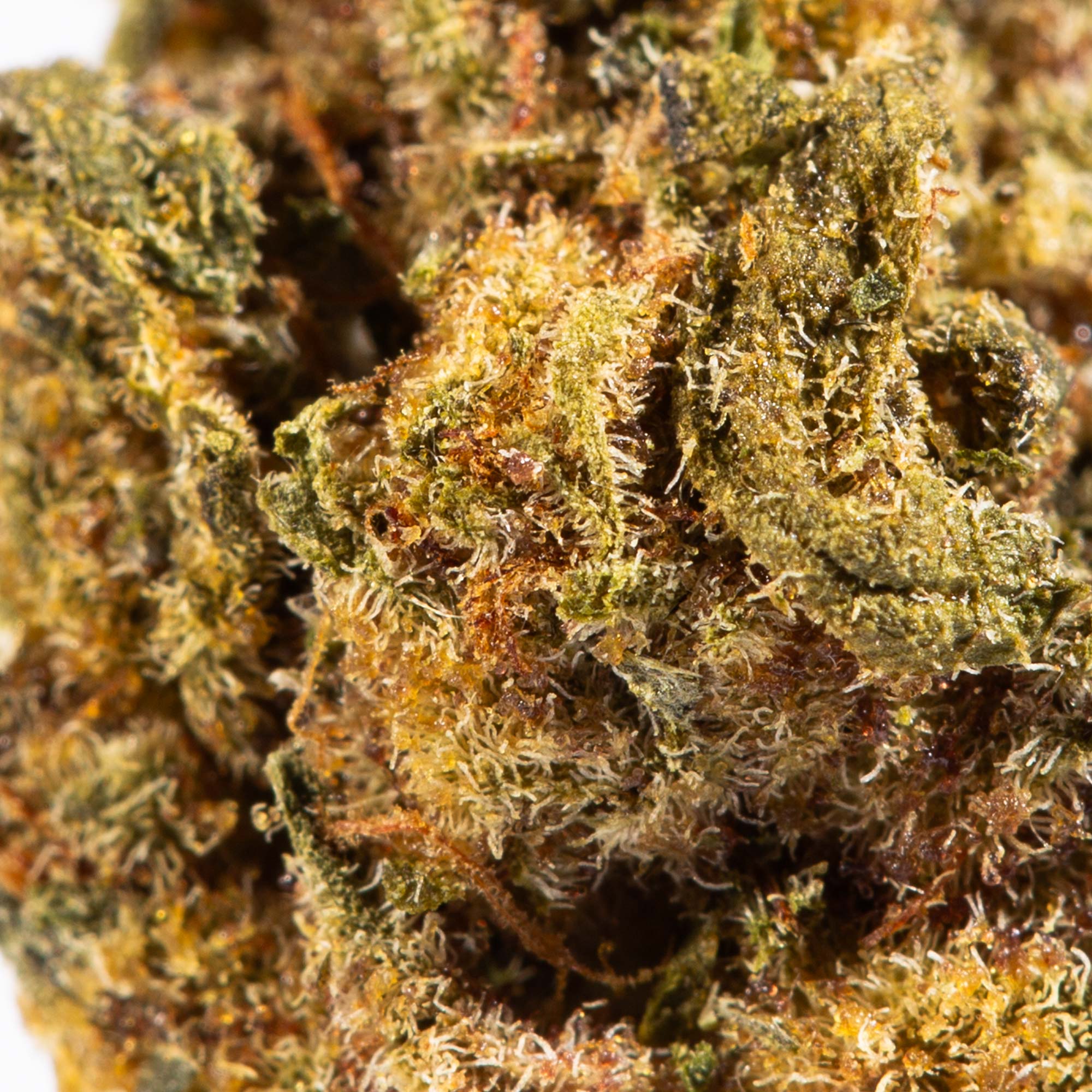 Jet Fuel Smalls (AA) - Image 4