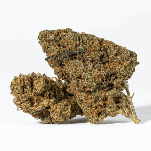 The taste of Flap Jacks will leave you coming back for more, blending together nutty pancakes with buttery cheese, sharp apples and sweet, sugary blueberries. The aroma is like you're kicking back in your local diner, enjoying a stack of freshly cooked flapjacks covered in creamy, blueberry syrup. The Flap Jacks high will wash over you following your final fruity exhale, filling your mind with a lifted sense of euphoria that activates your mind and leaves you smiling and sociable.