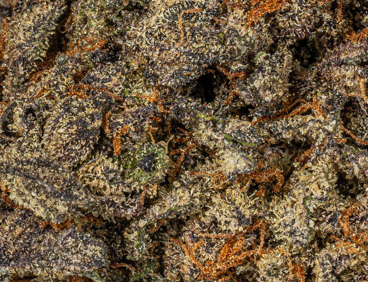 Sticky Grapes (AA) - Image 5