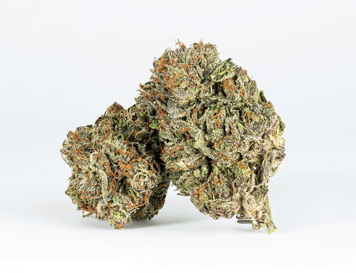 Double Purple Afgooey (AAAA)