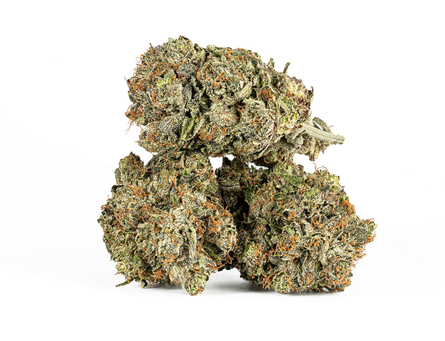 Double Purple Afgooey (AAAA) - Image 2