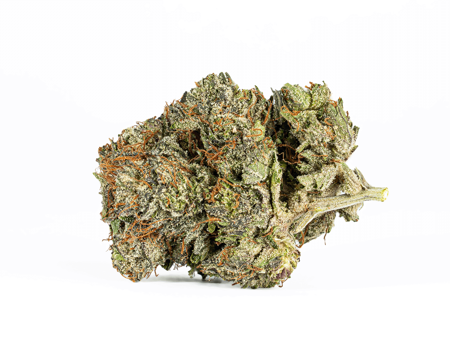 Double Purple Afgooey (AAAA) - Image 3