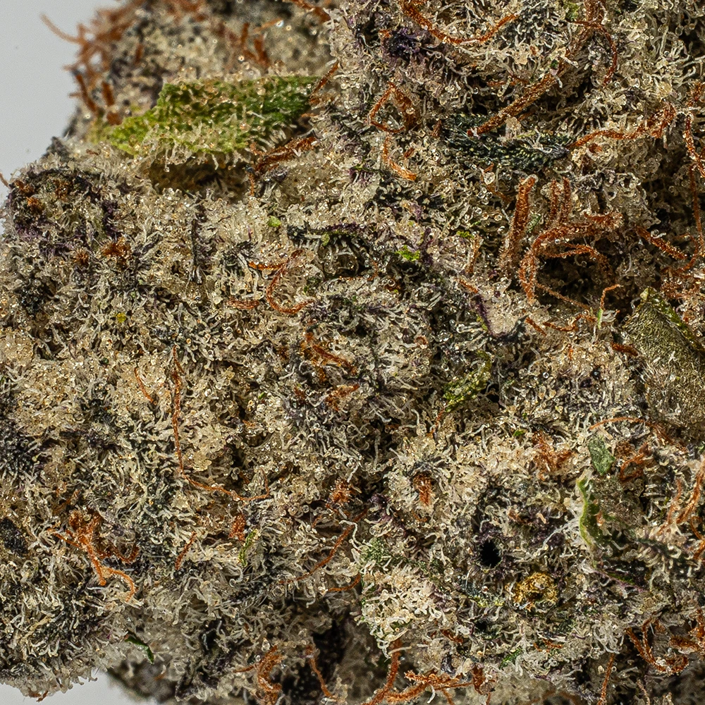 9LB Hammer (AAAA) - Image 5