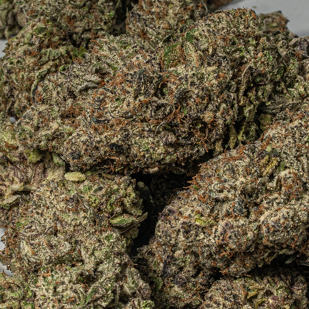 9LB Hammer (AAAA) - Image 4