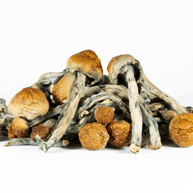 A-One Mushrooms - Trinity - Image 3