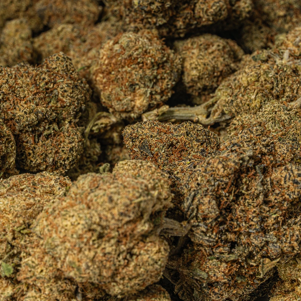 Alien Mints (AA) - Image 5