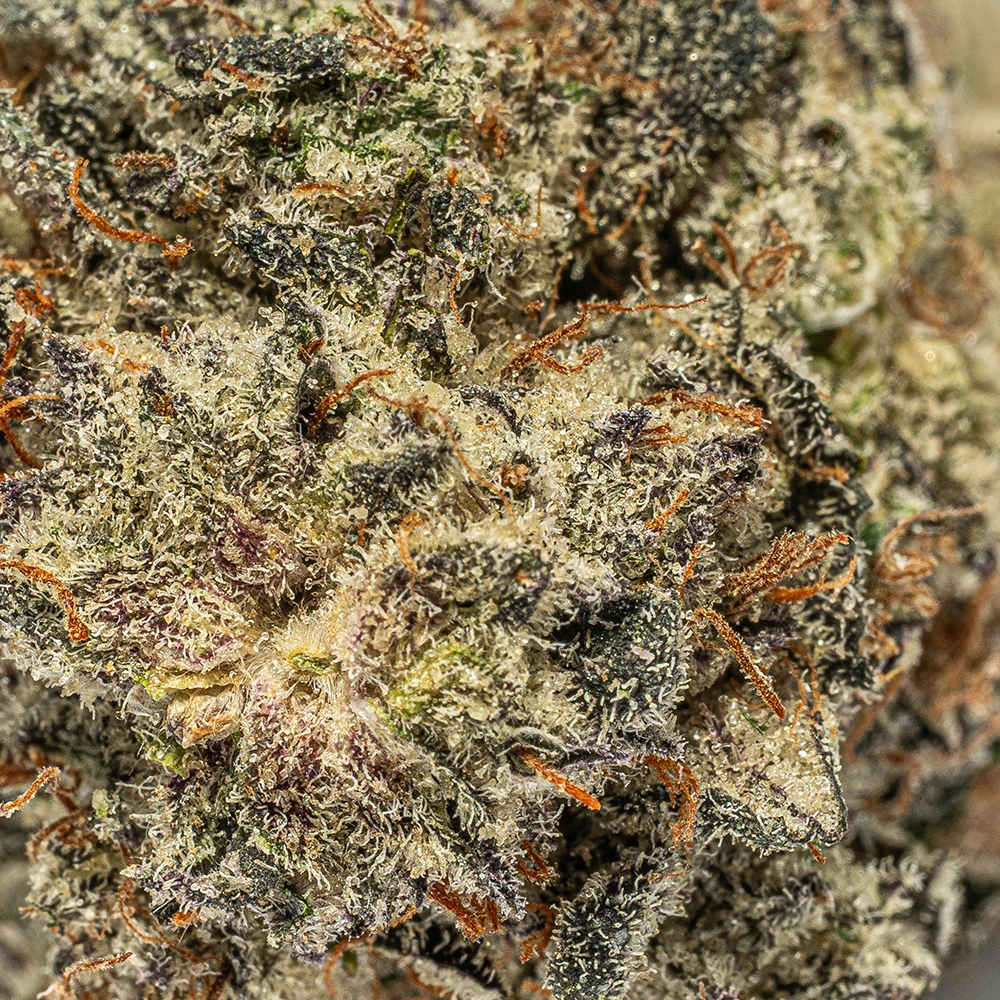 Amnesia Haze (AAAA) - Image 4