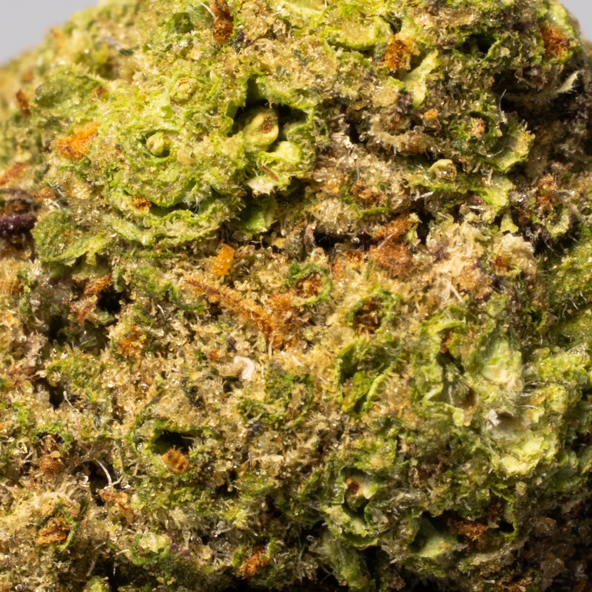 Apple Fritter (AA) - Image 5