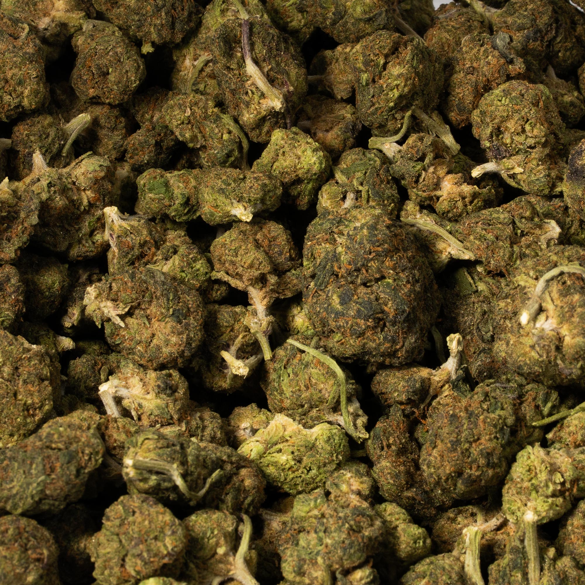 Apple Fritter (AA) - Image 4