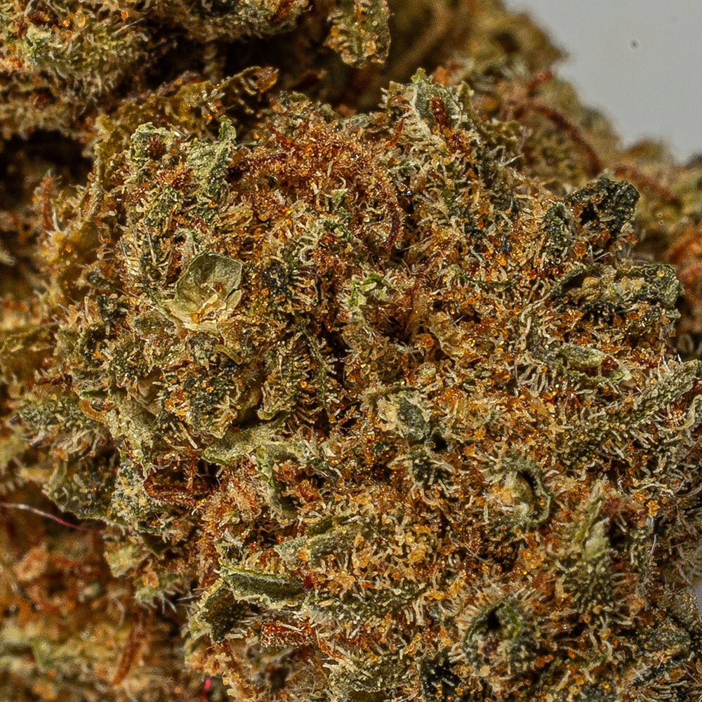 Black Jack Smalls (A) - Image 4