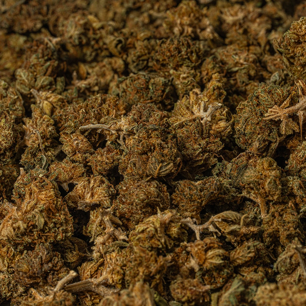 Black Jack Smalls (A) - Image 5