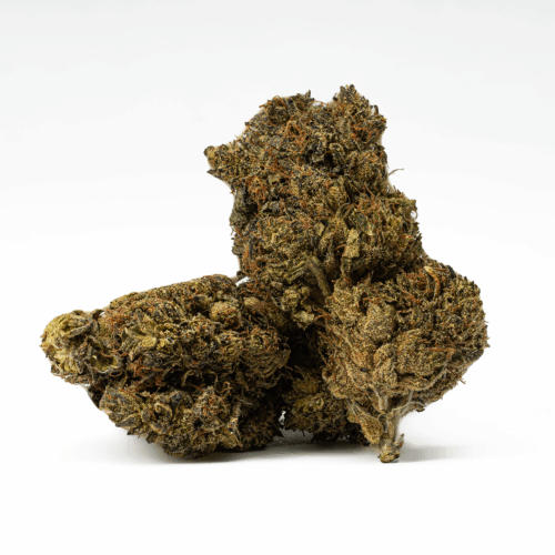 Black Jesus is said to be perfect for treating conditions such as chronic pain, cramps or muscle spasms, appetite loss or nausea, and depression. This bud has a sour citrus flavor with a lightly peppery spicy exhale. Black Jesus is here to save you both physically and mentally.