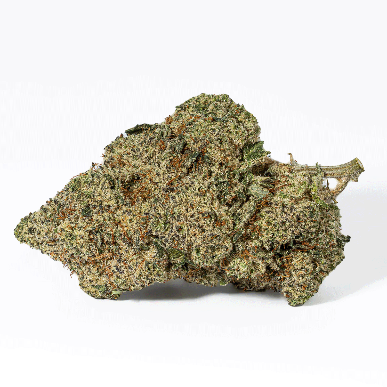 Frosted Donkey (AAA+) - Image 3