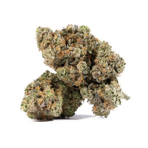 Perfect for nighttime use, these effects also give El Chapo an edge in killing the effects of chronic stress, inflammation, depression, chronic pain, and insomnia. This bud has a sweet lemony flavor accented by fresh flowery citrus and kush. The aroma is of sweet lemon and pine with a fragrant floral overtone that's almost candy-like.