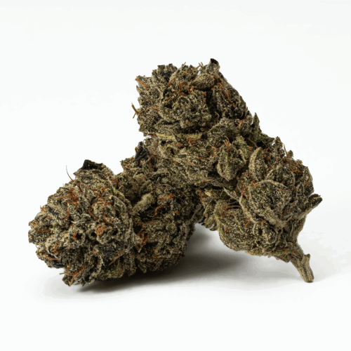 The flavor of El Chivo will keep you coming back for more, with sweet fruity blueberries and spicy flowers dancing across your tongue with each and every toke. The aroma takes it down a level in the sweetness department, adding a savory overtone of spicy, peppery diesel to the equation instead. The El Chivo high will hit you as soon as you exhale, beginning as a tingly sense in the brain and back of the neck.