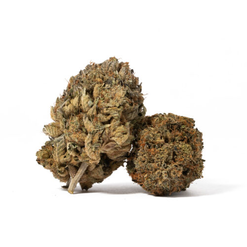 Gangster Kush is the perfect choice for closing out any stressful day or week. You'll feel the effects of Gangster Kush creep in a few minutes after your final toke, working their way into your brain with a lifted sense that has you feeling happy and without a care in the world. A calming physical sense accompanies this heady lift, helping your body to stretch out and relax, free of any aches and pains to speak of.