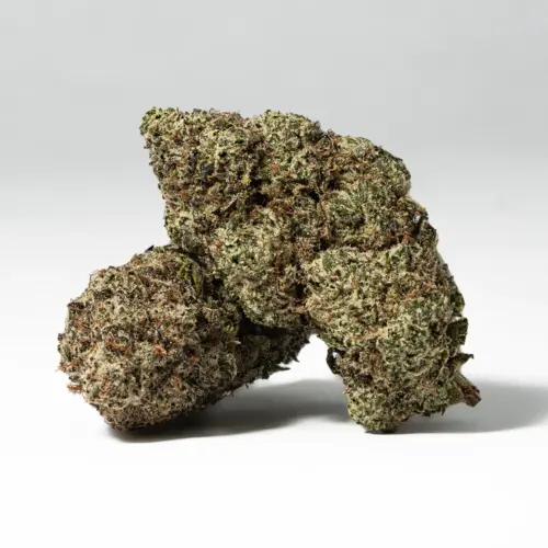 Raspberry Punch (AAA+)