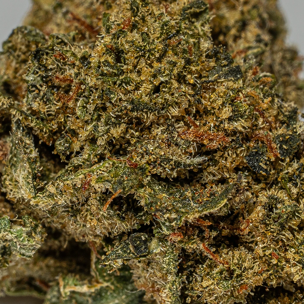 Grease Monkey Smalls (AAA+) - Image 5