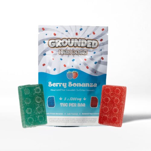Grounded High Dose Bricks - Berry Bonanza 2000mg