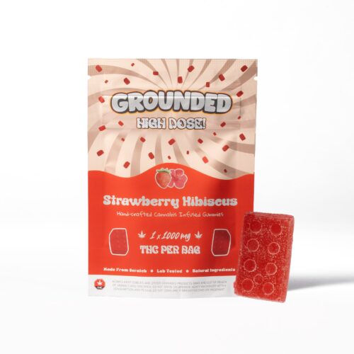 Grounded High Dose Bricks - Strawberry Hibiscus 1000mg