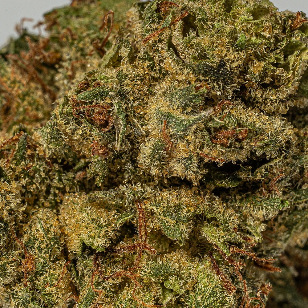 Galactic Gas Smalls (AAAA) - Image 5