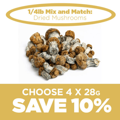 1/4lb Mix and Match Dried Mushrooms