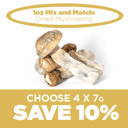1Oz Mix and Match Dried Mushrooms