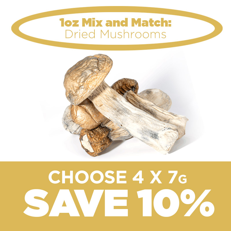 1Oz Mix and Match Dried Mushrooms