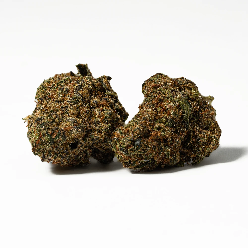 Jack of Spades Smalls (AA)