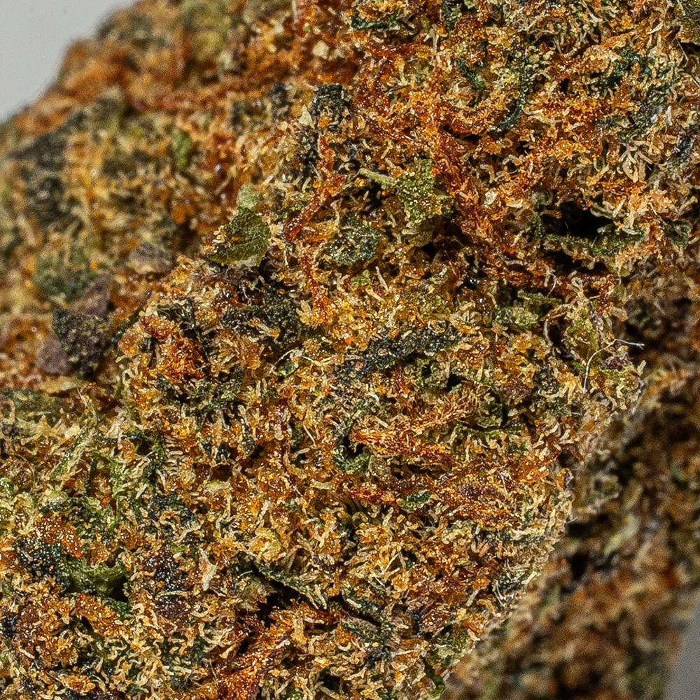 Jack of Spades Smalls (AA) - Image 5