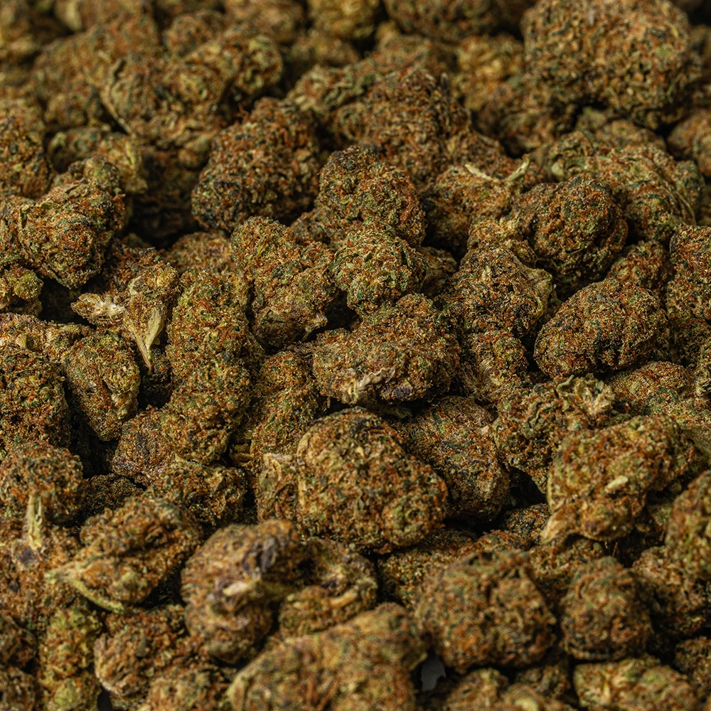 Jack of Spades Smalls (AA) - Image 4